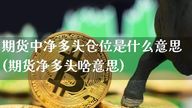 期货中净多头仓位是什么意思(期货净多头啥意思)_https://www.xjzxxn66.com_以太坊_第1张