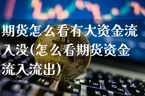 期货怎么看有大资金流入没(怎么看期货资金流入流出)_https://www.xjzxxn66.com_未分类_第1张