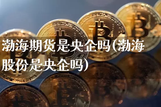 渤海期货是央企吗(渤海股份是央企吗)_https://www.xjzxxn66.com_比特币_第1张