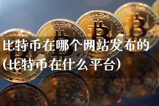 比特币在哪个网站发布的(比特币在什么平台)_https://www.xjzxxn66.com_币圈资讯_第1张