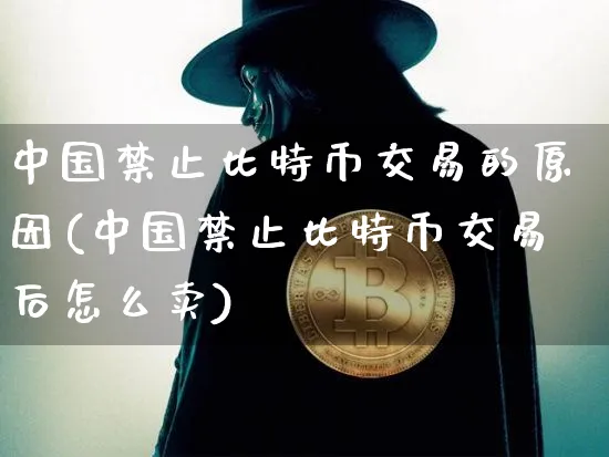 中国止比特币交易的原因(中国止比特币交易后怎么卖)_https://www.xjzxxn66.com_币圈资讯_第1张