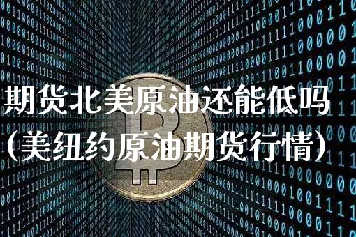 期货北美原油还能低吗(美纽约原油期货行情)_https://www.xjzxxn66.com_未分类_第1张