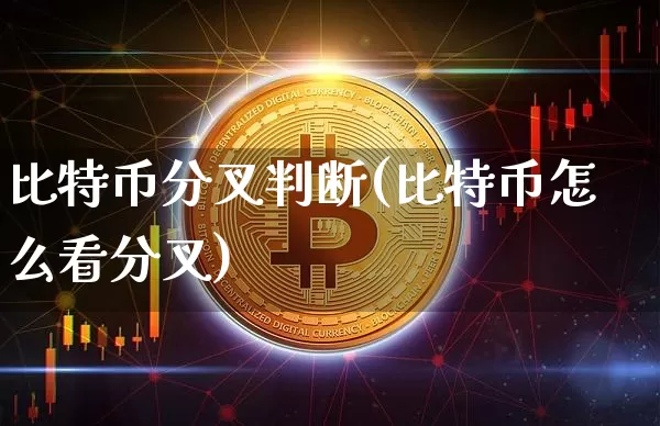 比特币分叉判断(比特币怎么看分叉)_https://www.xjzxxn66.com_币圈资讯_第1张