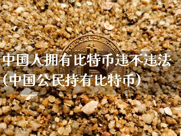 中国人拥有比特币违不(中国公民持有比特币)_https://www.xjzxxn66.com_区块链_第1张