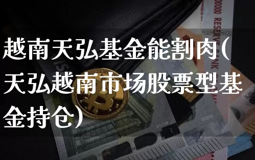 越南天弘基金能割肉(天弘越南市场股票型基金持仓)_https://www.xjzxxn66.com_币圈资讯_第1张