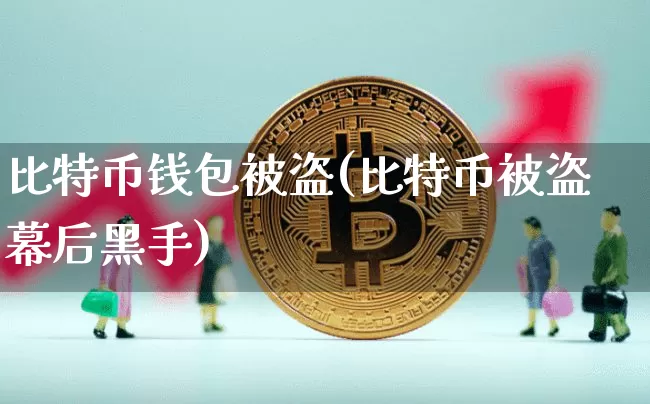 比特币钱包被盗(比特币被盗幕后黑手)_https://www.xjzxxn66.com_以太坊_第1张