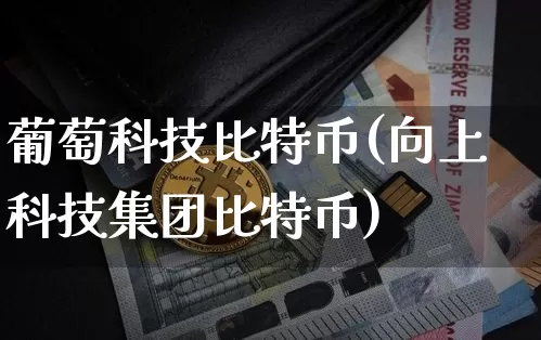 葡萄科技比特币(向上科技集团比特币)_https://www.xjzxxn66.com_以太坊_第1张
