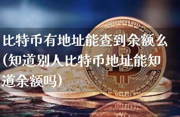 比特币有地址能查到余额么(知道别人比特币地址能知道余额吗)_https://www.xjzxxn66.com_币圈资讯_第1张