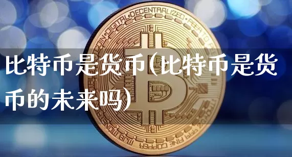 比特币是货币(比特币是货币的未来吗)_https://www.xjzxxn66.com_币圈资讯_第1张