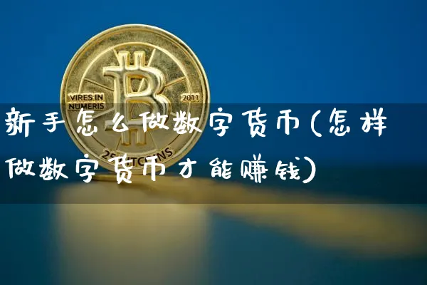 新手怎么做数字货币(怎样做数字货币才能赚钱)_https://www.xjzxxn66.com_币圈资讯_第1张