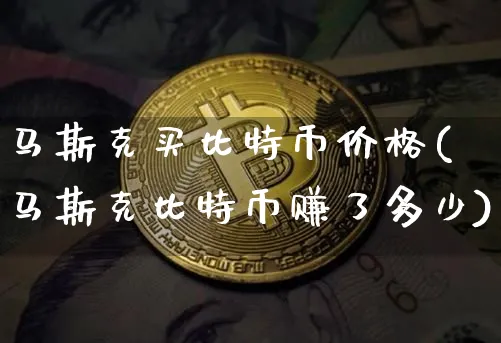 马斯克买比特币价格(马斯克比特币赚了多少)_https://www.xjzxxn66.com_币圈资讯_第1张