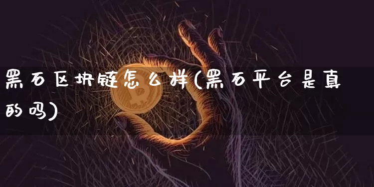 黑石区块链怎么样(黑石平台是真的吗)_https://www.xjzxxn66.com_以太坊_第1张