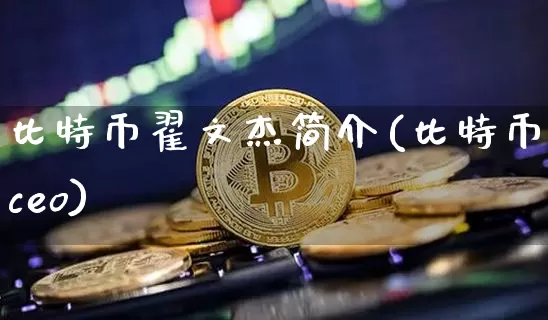 比特币翟文杰简介(比特币ceo)_https://www.xjzxxn66.com_币圈资讯_第1张