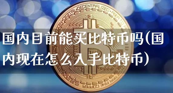 国内目前能买比特币吗(国内现在怎么入手比特币)_https://www.xjzxxn66.com_以太坊_第1张