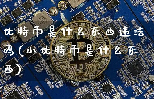 比特币是什么东西吗(小比特币是什么东西)_https://www.xjzxxn66.com_区块链_第1张