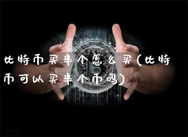 比特币买半个怎么买(比特币可以买半个币吗)_https://www.xjzxxn66.com_区块链_第1张