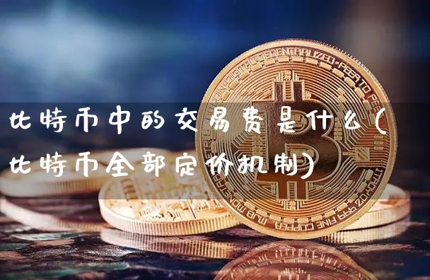 比特币中的交易费是什么(比特币全部定价机制)_https://www.xjzxxn66.com_币圈资讯_第1张