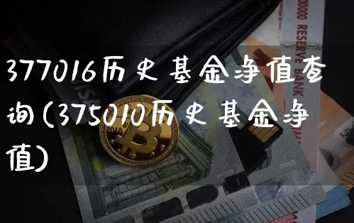 377016历史基金净值查询(375010历史基金净值)_https://www.xjzxxn66.com_区块链_第1张