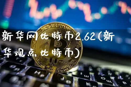 新华网比特币2.62(新华观点比特币)_https://www.xjzxxn66.com_区块链_第1张