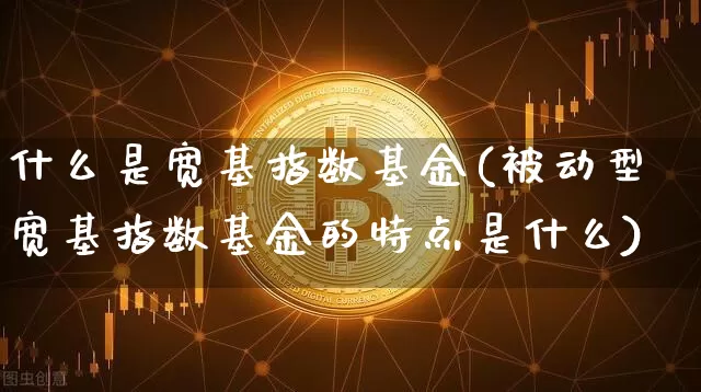 什么是宽基指数基金(被动型宽基指数基金的特点是什么)_https://www.xjzxxn66.com_比特币_第1张