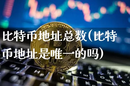 比特币地址总数(比特币地址是唯一的吗)_https://www.xjzxxn66.com_币圈资讯_第1张