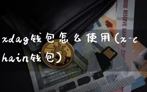 xdag钱包怎么使用(x-chain钱包)_https://www.xjzxxn66.com_以太坊_第1张