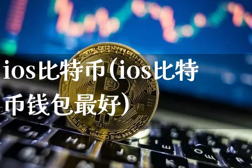 ios比特币(ios比特币钱包最好)_https://www.xjzxxn66.com_币圈资讯_第1张