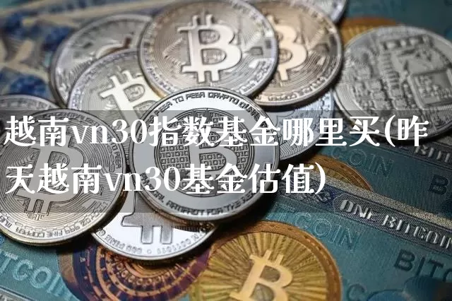 越南vn30指数基金哪里买(昨天越南vn30基金估值)_https://www.xjzxxn66.com_币圈资讯_第1张
