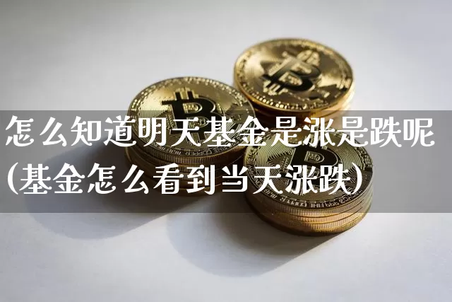怎么知道明天基金是涨是跌呢(基金怎么看到当天涨跌)_https://www.xjzxxn66.com_币圈资讯_第1张