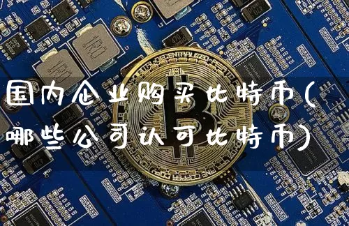 国内企业购买比特币(哪些公司认可比特币)_https://www.xjzxxn66.com_区块链_第1张