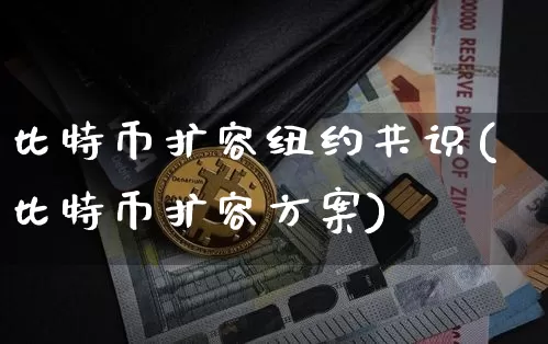 比特币扩容纽约共识(比特币扩容方案)_https://www.xjzxxn66.com_以太坊_第1张