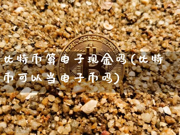比特币算电子现金吗(比特币可以当电子币吗)_https://www.xjzxxn66.com_比特币_第1张