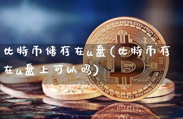 比特币储存在u盘(比特币存在u盘上可以吗)_https://www.xjzxxn66.com_币圈资讯_第1张