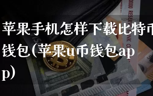 苹果手机怎样下载比特币钱包(苹果u币钱包app)_https://www.xjzxxn66.com_比特币_第1张