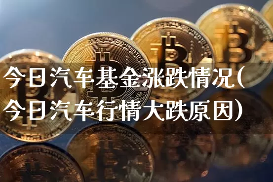 今日汽车基金涨跌情况(今日汽车行情大跌原因)_https://www.xjzxxn66.com_币圈资讯_第1张