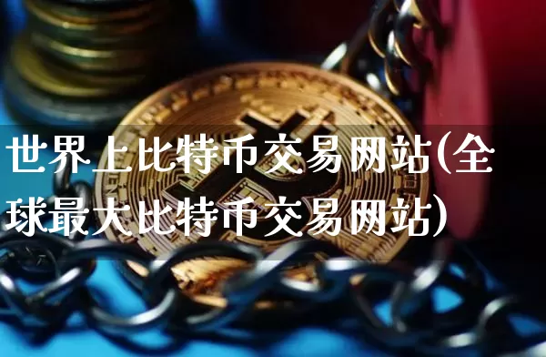 世界上比特币交易网站(全球最大比特币交易网站)_https://www.xjzxxn66.com_比特币_第1张