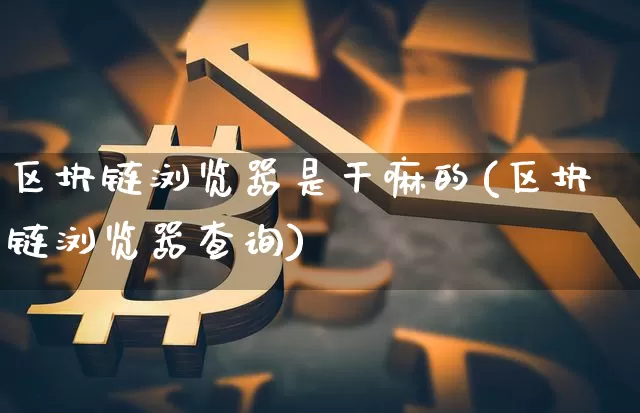区块链浏览器是干嘛的(区块链浏览器查询)_https://www.xjzxxn66.com_币圈资讯_第1张
