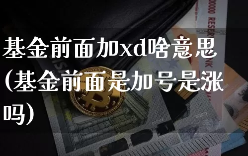 基金前面加xd啥意思(基金前面是加号是涨吗)_https://www.xjzxxn66.com_未分类_第1张