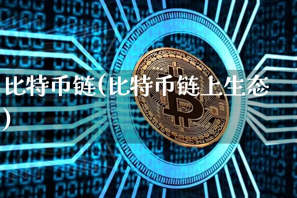 比特币链(比特币链上生态)_https://www.xjzxxn66.com_比特币_第1张