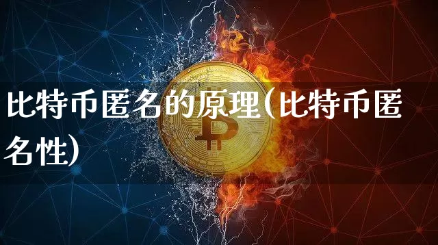 比特币匿名的原理(比特币匿名性)_https://www.xjzxxn66.com_以太坊_第1张