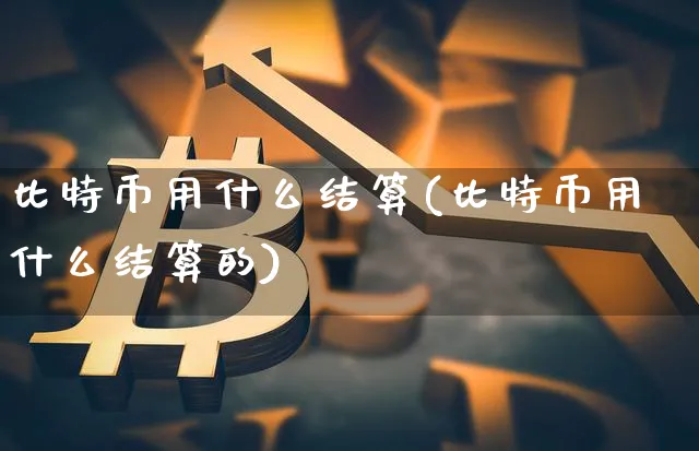 比特币用什么结算(比特币用什么结算的)_https://www.xjzxxn66.com_以太坊_第1张