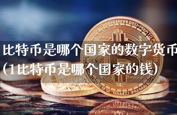比特币是哪个国家的数字货币(1比特币是哪个国家的钱)_https://www.xjzxxn66.com_币圈资讯_第1张