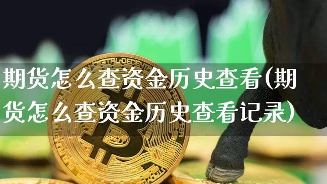 期货怎么查资金历史查看(期货怎么查资金历史查看记录)_https://www.xjzxxn66.com_币圈资讯_第1张