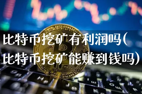 比特币挖矿有利润吗(比特币挖矿能赚到钱吗)_https://www.xjzxxn66.com_币圈资讯_第1张
