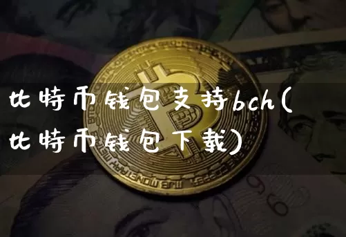 比特币钱包支持bch(比特币钱包下载)_https://www.xjzxxn66.com_比特币_第1张