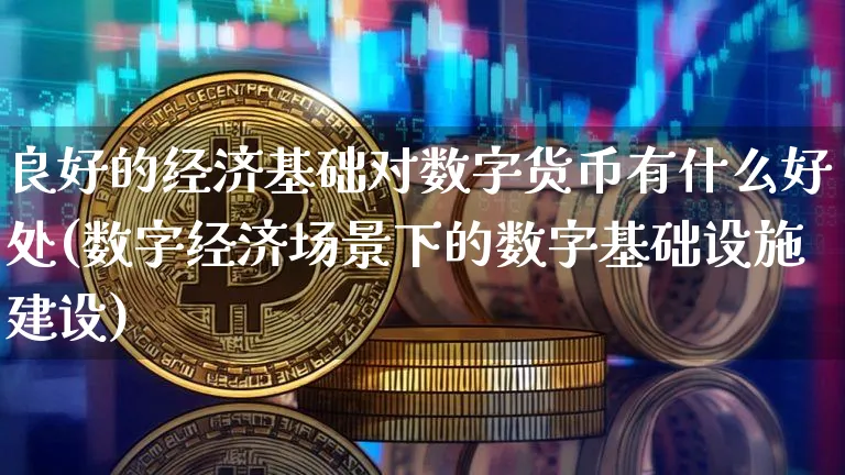 良好的经济基础对数字货币有什么好处(数字经济场景下的数字基础设施建设)_https://www.xjzxxn66.com_区块链_第1张