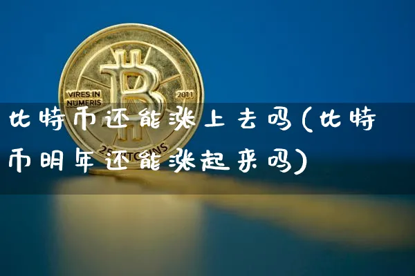 比特币还能涨上去吗(比特币明年还能涨起来吗)_https://www.xjzxxn66.com_币圈资讯_第1张