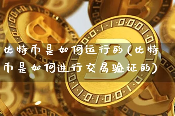 比特币是如何运行的(比特币是如何进行交易验证的)_https://www.xjzxxn66.com_比特币_第1张