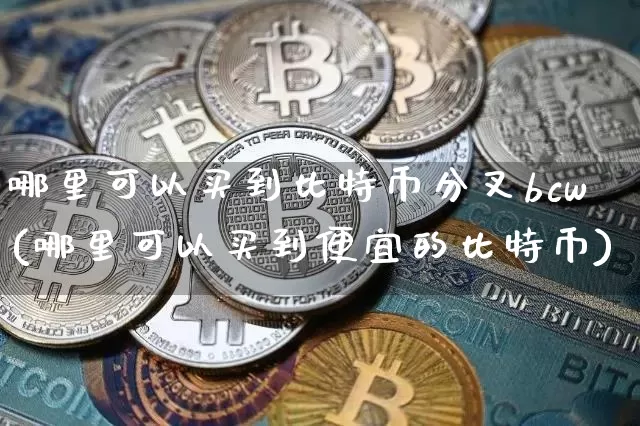 哪里可以买到比特币分叉bcw(哪里可以买到便宜的比特币)_https://www.xjzxxn66.com_比特币_第1张