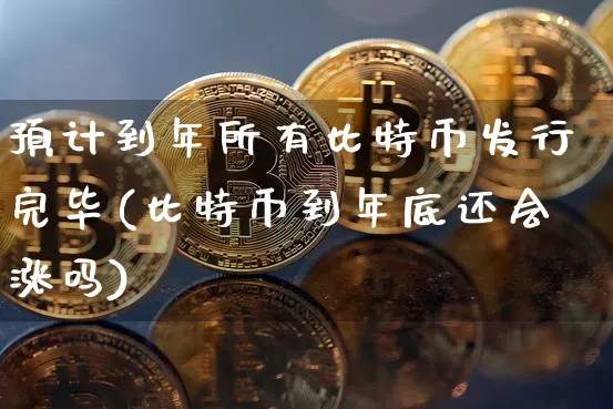 预计到年所有比特币发行完毕(比特币到年底还会涨吗)_https://www.xjzxxn66.com_以太坊_第1张